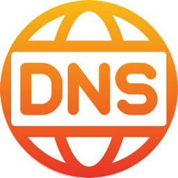 DNS Lookup